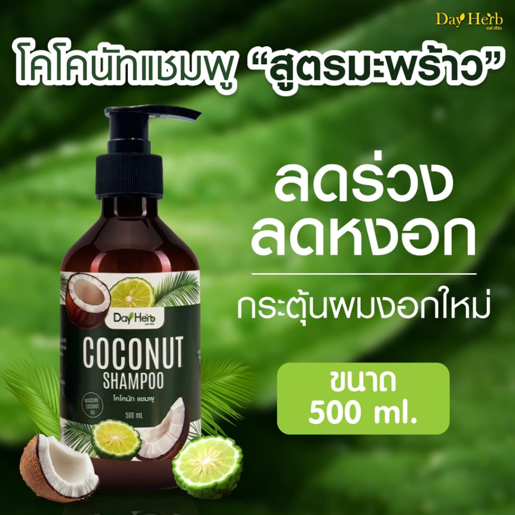DayHerb แชมพูมะพร้าวสกัดเย็น ออร์แกนิค ลดผมร่วง ผมบาง เร่งผมยาว บำรุงรากผมแข็งแรง สูตรมะพร้าว+มะกรูด 500ml