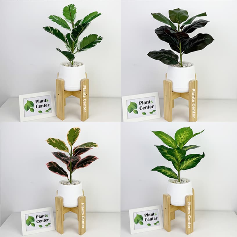 Plants Center ต้นไม้ปลอม 9ใบ สูง 45-55ซม รวมไม้ยอดนิยม ไม้มงคล ตกแต่งบ้าน แต่งสวน  P008